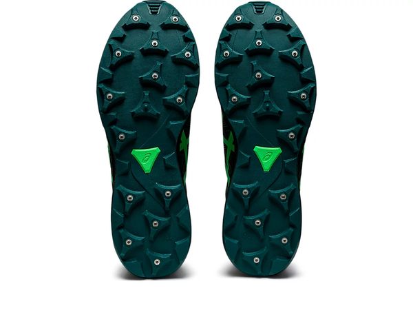 Asics Fujisetsu gtx Black/New Leaf - Asics