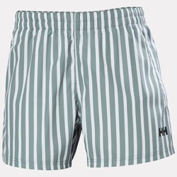 Newport Swim Trunks Herre Gray cactus - Helly Hansen